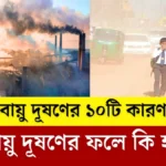 বায়ু দূষণের ১০টি কারণ || বায়ু দূষণের ফলে কি হয় - সহজ উত্তর।