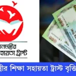 প্রধানমন্ত্রীর শিক্ষা সহায়তা ট্রাস্ট ২০২৫ আবেদন