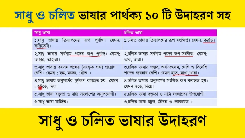 সাধু ও চলিত ভাষার পার্থক্য ১০ টি উদাহরণ সহ।