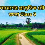 বাংলাদেশের প্রাকৃতিক সৌন্দর্য রচনা Class 9