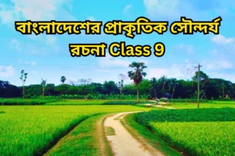 বাংলাদেশের প্রাকৃতিক সৌন্দর্য রচনা Class 9