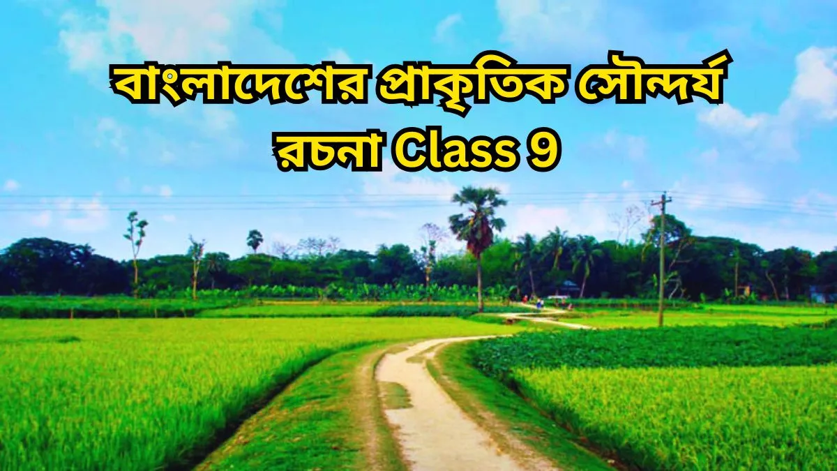 বাংলাদেশের প্রাকৃতিক সৌন্দর্য রচনা Class 9