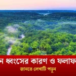 বন ধ্বংসের কারণ ও ফলাফল