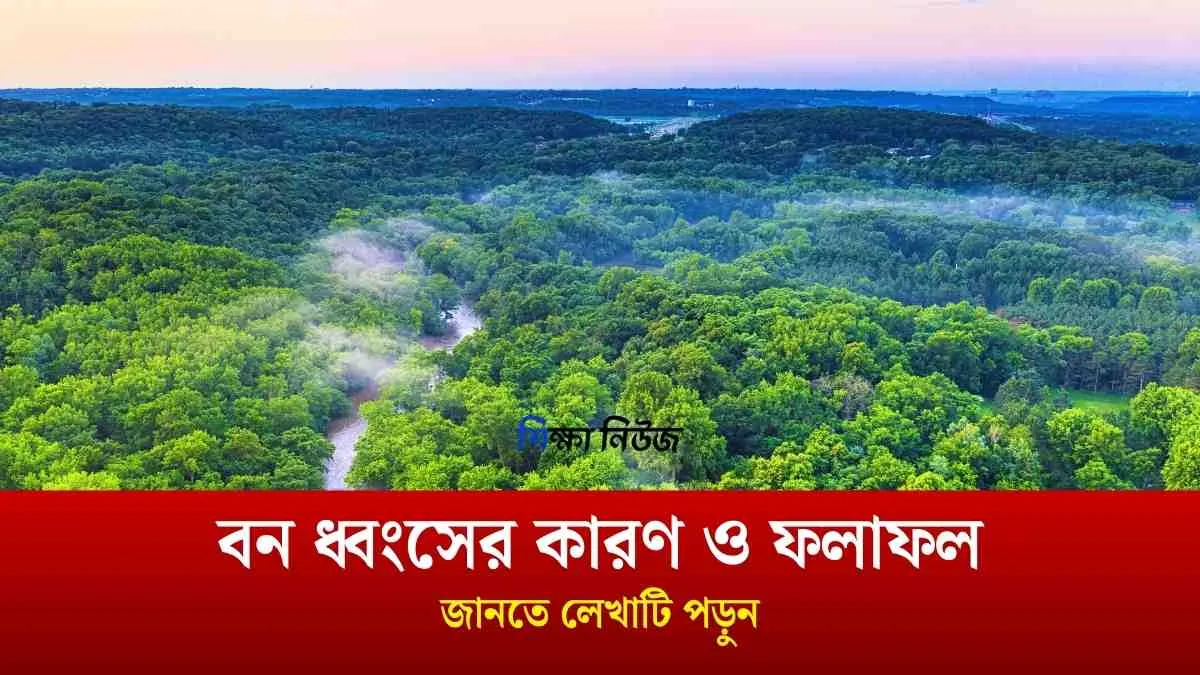 বন ধ্বংসের কারণ ও ফলাফল