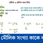 সহ মৌলিক সংখ্যা কাকে বলে উদাহরণ সহ।
