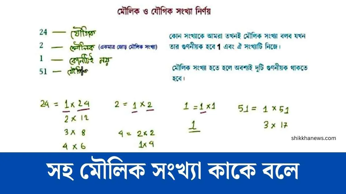 সহ মৌলিক সংখ্যা কাকে বলে উদাহরণ সহ।