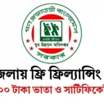 ৪৮ জেলায় ফ্রি ফ্রিল্যান্সিং কোর্স: ২০০ টাকা ভাতা ও সার্টিফিকেট!
