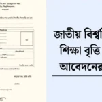 জাতীয় বিশ্ববিদ্যালয় শিক্ষা বৃত্তি ২০২৫ আবেদনের নিয়ম।