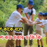 পরিবেশ কাকে বলে।