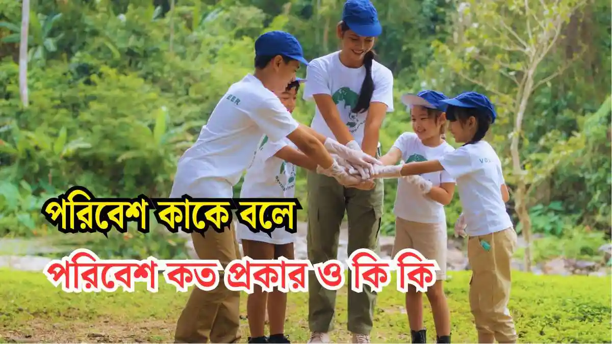 পরিবেশ কাকে বলে।