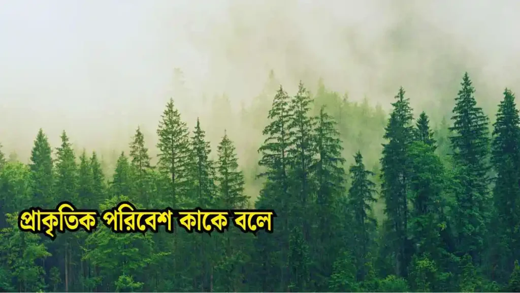প্রাকৃতিক পরিবেশ কাকে বলে