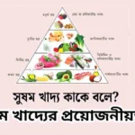 সুষম খাদ্য কাকে বলে? সুষম খাদ্যের প্রয়োজনীয়তা!