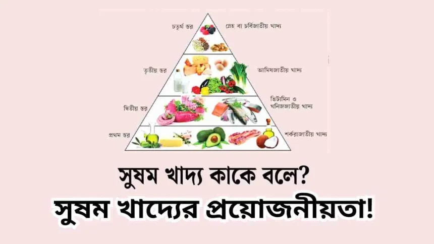 সুষম খাদ্য কাকে বলে? সুষম খাদ্যের প্রয়োজনীয়তা!