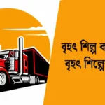 বৃহৎ শিল্প কাকে বলে
