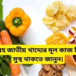 স্নেহ জাতীয় খাদ্যের মূল কাজ কি