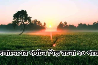 বাংলাদেশের পর্যটন শিল্প রচনা ২০ পয়েন্ট