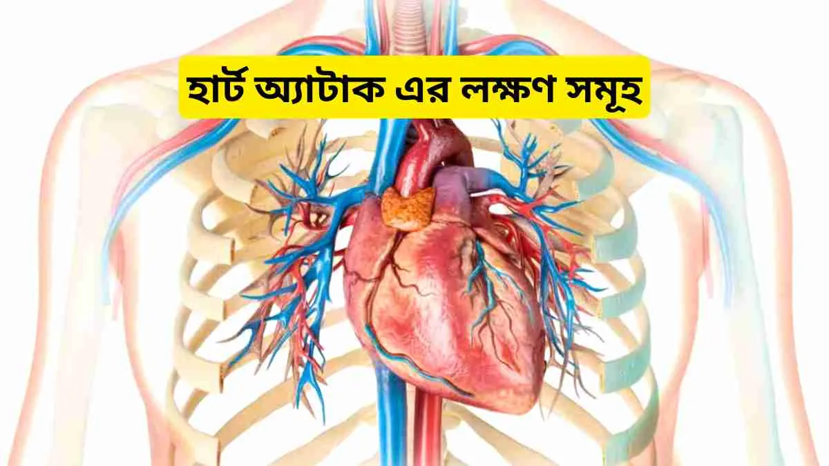 হার্ট অ্যাটাক এর লক্ষণ সমূহ। হার্ট অ্যাটাক প্রতিরোধের উপায়।
